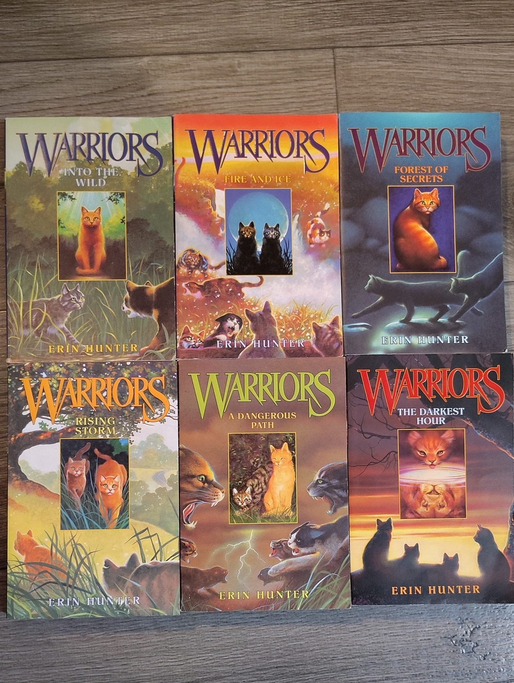 Warriors The Prophecies Begin Books 1-6 a First Ed Paperback